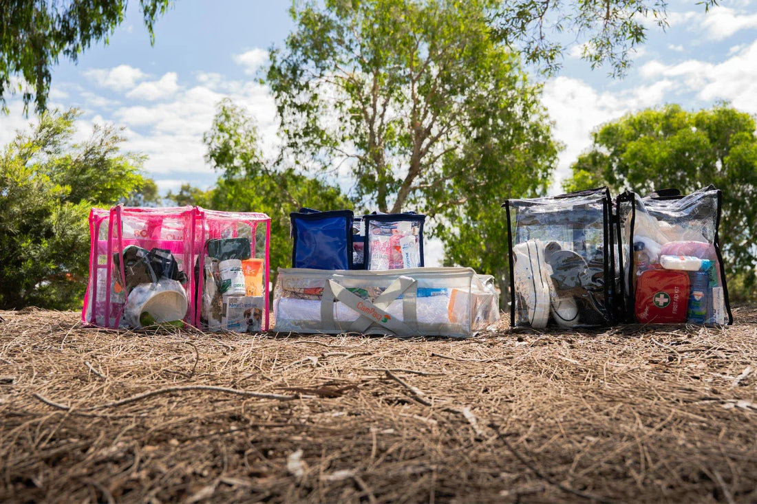 clear camping bags on ground outdoors